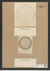 Diatomeae indet. Zeichnungen Sammlung Grunow Nr. 8476 (NHMW-BOT-W0377932)